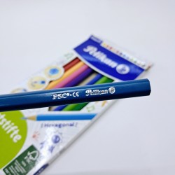 Pelikan 12'li kuru boya